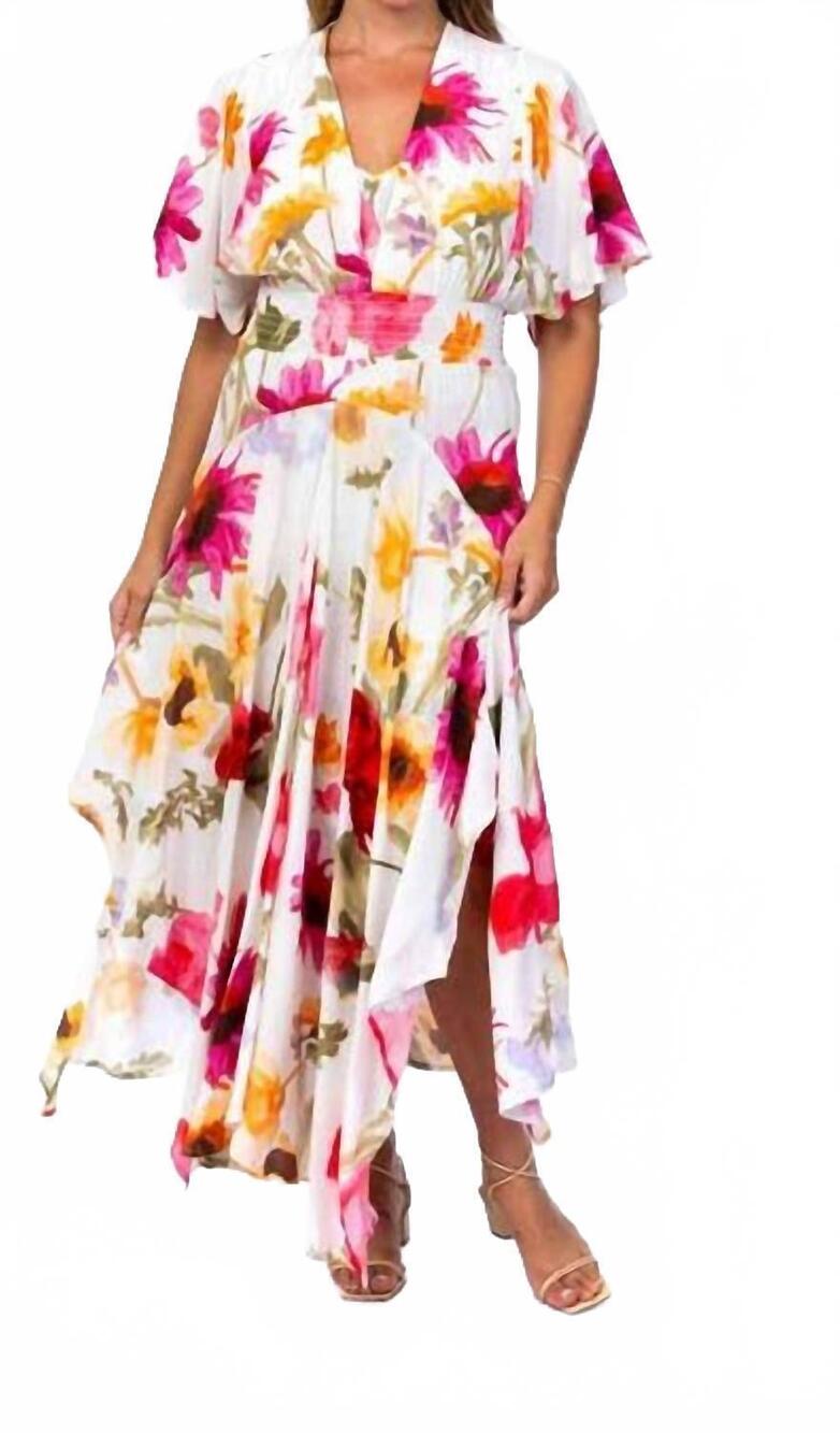 NEW TOLANI daphene dress in multi floral